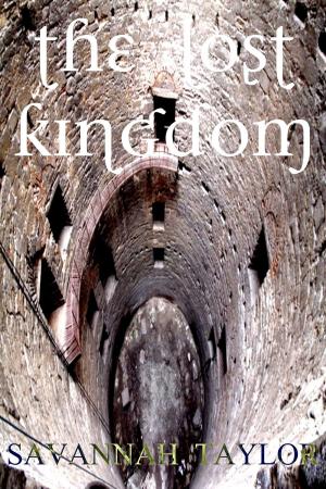 Cover of the book The Lost Kingdom by Leenna Naidoo