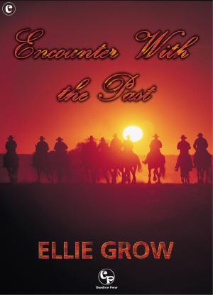 Book cover of Encounter With the Past