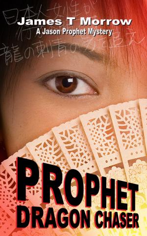 Cover of the book Prophet: Dragon Chaser by Tille Vincent