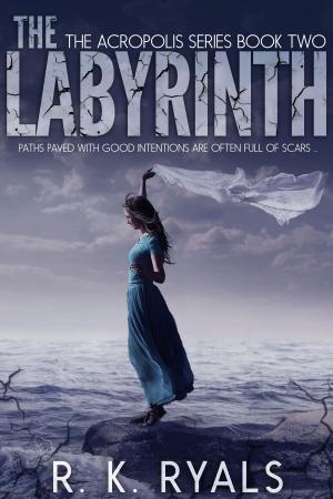 Book cover of The Labyrinth: Acropolis Series Book II