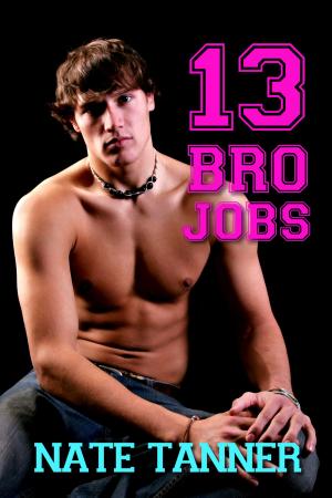 Cover of the book Thirteen Brojobs by Nate Tanner