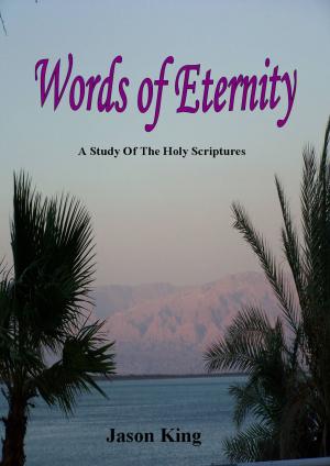 Cover of the book Words of Eternity by Music Marketing Rescue
