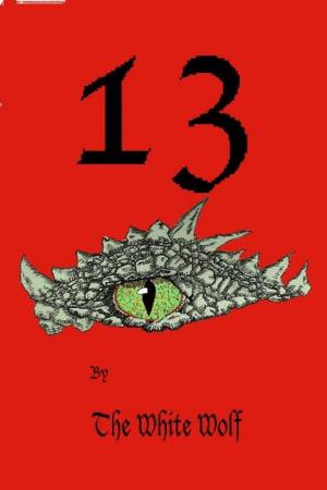Cover of the book "13" by Gerald Dean Rice