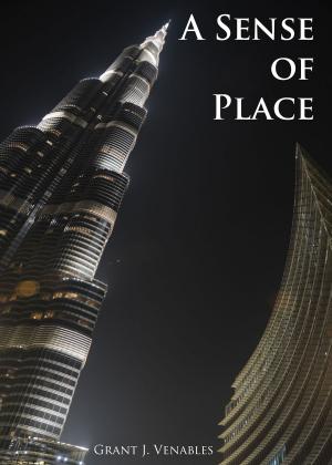 Cover of the book A Sense of Place by Tamara Hecht
