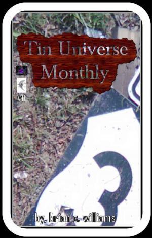 Book cover of Tin Universe Monthly #11