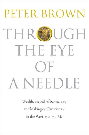Cover of the book Through the Eye of a Needle by David Yaffe