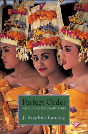Cover of the book Perfect Order by Margaret Pugh O'Mara
