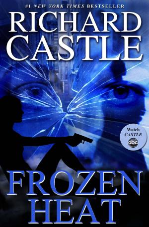Cover of the book Frozen Heat by Trish McCormack