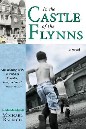 Cover of the book In the Castle of the Flynns by Sophie Cleverly