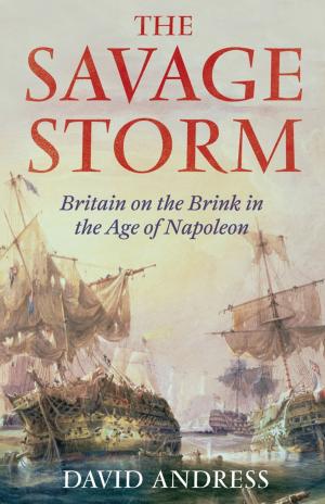Cover of the book The Savage Storm by Catherine Atkinson, Elizabeth Atkinson