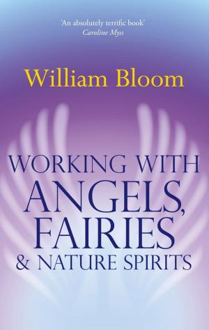 Cover of the book Working With Angels, Fairies And Nature Spirits by James Hunt