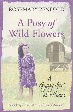 Book cover of A Posy of Wild Flowers