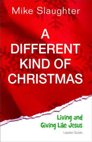 Book cover of A Different Kind of Christmas Leader Guide