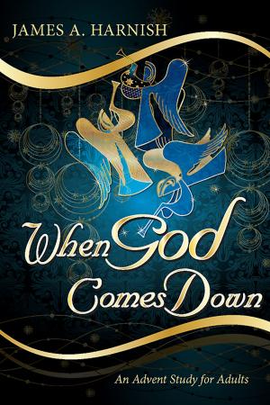 Cover of the book When God Comes Down by Magrey deVega