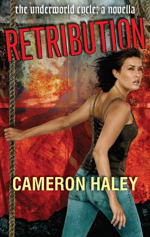 Cover of the book Retribution by Ann Livingston