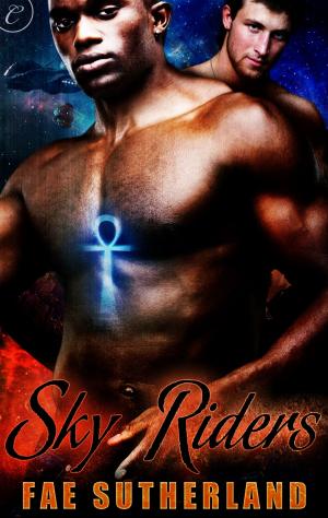 Cover of the book Sky Riders by Alexa Riley