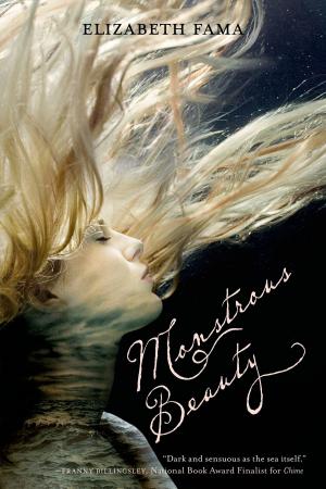 Cover of the book Monstrous Beauty by Roberto Bolaño