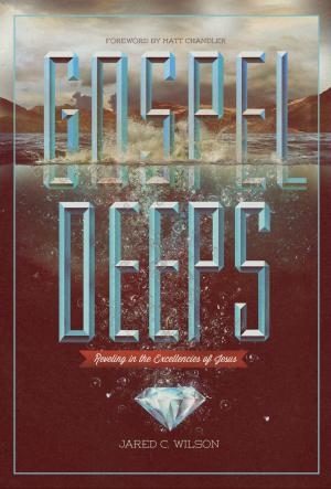 Cover of the book Gospel Deeps: Reveling in the Excellencies of Jesus by Pat Ennis, Lisa Tatlock
