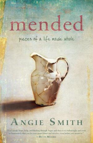 Book cover of Mended