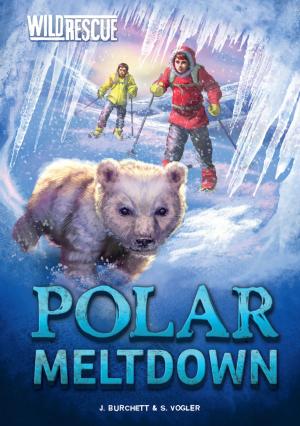 Cover of the book Polar Meltdown by Jake Maddox
