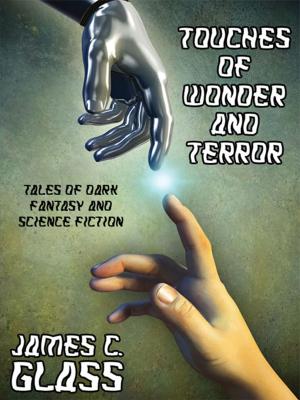 Book cover of Touches of Wonder and Terror