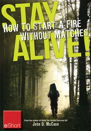 Book cover of Stay Alive - How to Start a Fire without Matches eShort