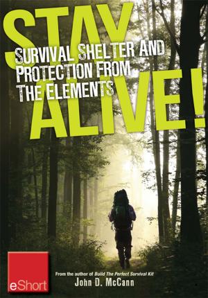 Book cover of Stay Alive - Survival Shelter and Protection from the Elements eShort