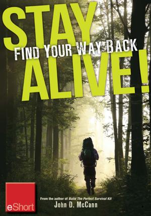 Cover of the book Stay Alive - Find Your Way Back eShort by Jordan Rosenfeld
