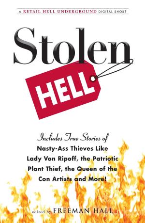 Cover of the book Stolen Hell by MrCreepyPasta, Vincent V. Cava, Matt Dymerski, T.W. Grim
