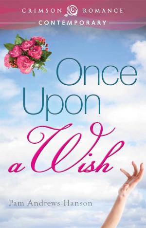 Book cover of Once Upon a Wish