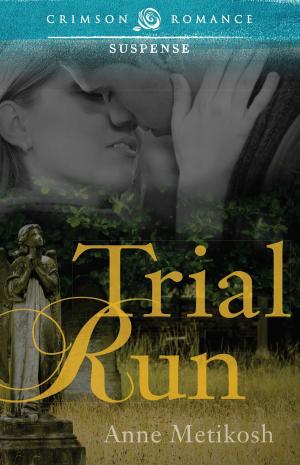 Cover of the book Trial Run by Heather Thurmeier