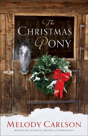 Book cover of Christmas Pony, The