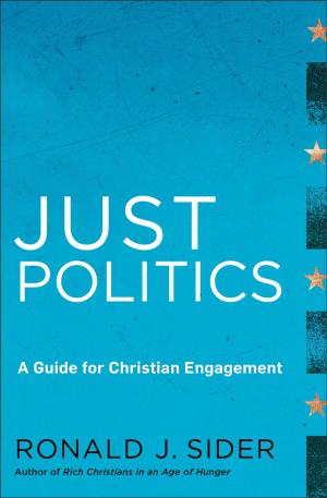 Cover of the book Just Politics by Amy Elizabeth Mykytiuk