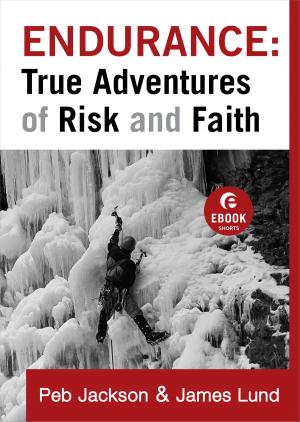 Book cover of Endurance: True Adventures of Risk and Faith (Ebook Shorts)