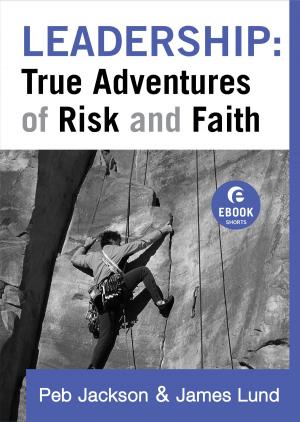 Book cover of Leadership: True Adventures of Risk and Faith (Ebook Shorts)