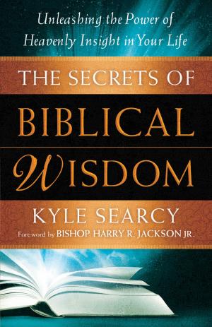 Cover of the book The Secrets of Biblical Wisdom by Emmanuel Kalu