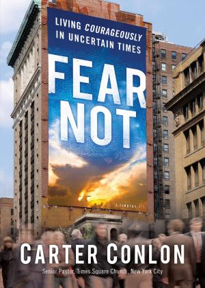 Cover of the book Fear Not by Frank Peretti