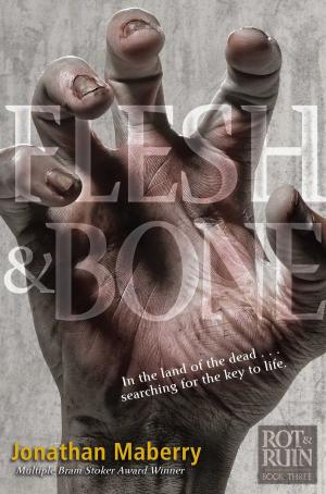 Cover of the book Flesh & Bone by Ellen Wittlinger