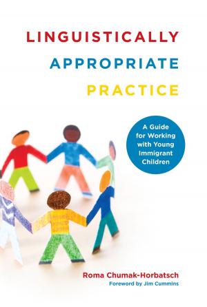 Cover of the book Linguistically Appropriate Practice by M. Ann Hall