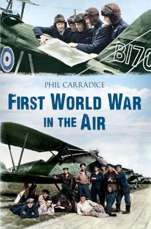 Book cover of First World War in the Air