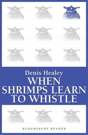 Cover of the book When Shrimps Learn to Whistle by David Horner
