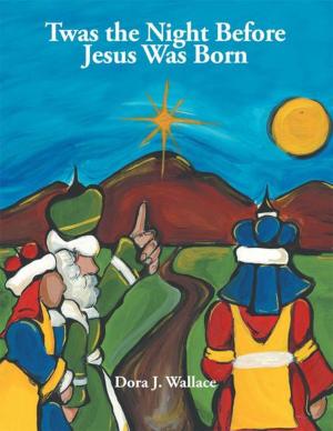 Cover of the book Twas the Night Before Jesus Was Born by Debbie Vanderslice