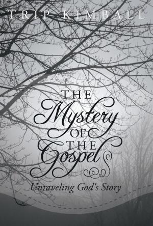 Cover of the book The Mystery of the Gospel by Jean Bacon White