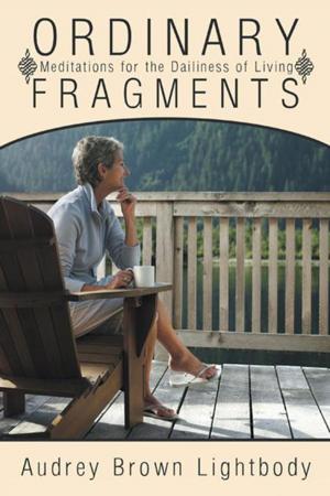 Book cover of Ordinary Fragments