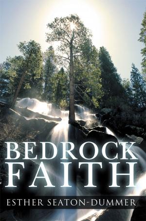 Cover of the book Bedrock Faith by Cole Roberts