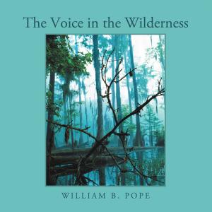 Cover of the book The Voice in the Wilderness by Rosemary Heddens