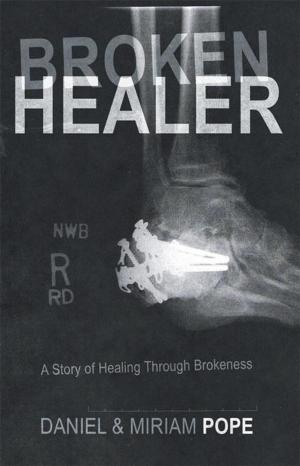 Cover of the book Broken Healer by Daniel E. Wilson Ph.D.