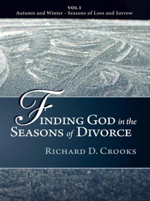 Book cover of Finding God in the Seasons of Divorce