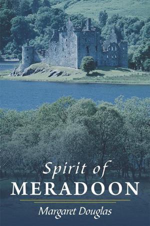 Cover of the book Spirit of Meradoon by Daniel Farey
