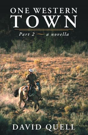 Cover of the book One Western Town by David Greiner